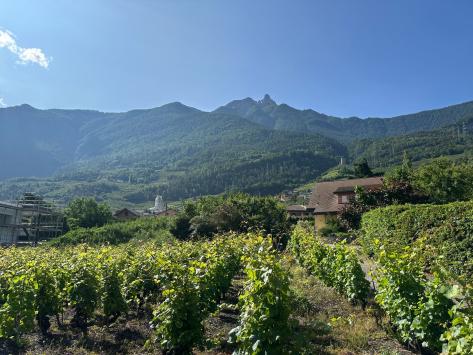 Saxon, Valais - Apartment / flat 3.5 Rooms 98.50 m2  from CHF 490'000.-