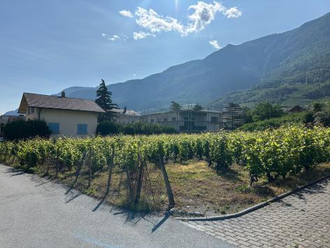 Saxon, Valais - Apartment / flat 3.5 Rooms 98.50 m2  from CHF 490'000.-